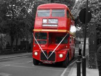 red bus51cb55b21717c.jpg